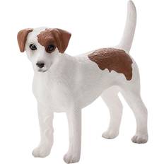 Mojo Jack Russell Terrier Pet Dog Animal Farm