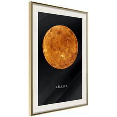 Arkiio Affisch Venus [Poster] 40x60 Poster