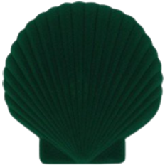 Venus Jewelry Box - Green