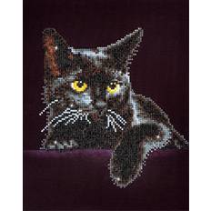 Diamond Paintings Diamond Dotz Diamond Dotz Midnat kat