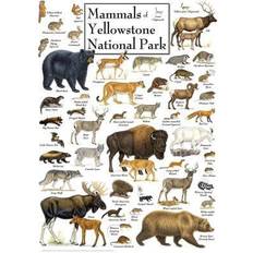 Jigsaw Puzzles Masterpieces Mammals of Yellowstone National Park 1000 Pieces