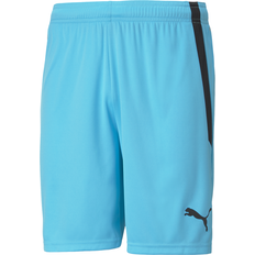 Puma Team Liga Shorts - Bleu