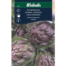 Weibulls Kronärtskocka Violet de Provence Grøntsagsfrø
