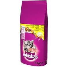 Whiskas Katter Husdjur Whiskas Junior Dry Food Kitten with 14kg 14kg