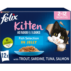 Purina Felix As Good As it Looks Kitten Fish Selection in Jelly Wet Cat Food 100g 12-pack