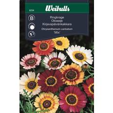 Weibulls Krukker, Planter & Dyrkning Weibulls Ringkrage Mix Blomsterfrø