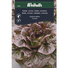 Weibulls Krukker, Planter & Dyrkning Weibulls Sallat Ovired Grøntsagsfrø