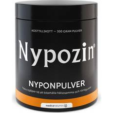 Powder 300g