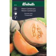 Weibulls Frugt- & Bærfrø Weibulls Melon Cantaloupe Frugt- & Bærfrø