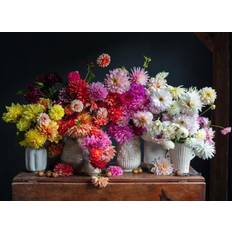 Artisan Dahlias 750 Pieces