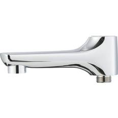 Mora Cera (409656)