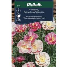 Weibulls Sömntuta Thai Silk Appleblossom Imp Blomsterfrø