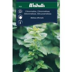 Weibulls Citronmeliss Krydderurtefrø