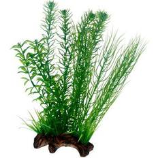 Hobby Flora Root 2 L 30cm