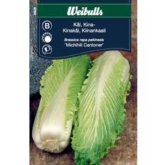 Weibulls Krukker, Planter & Dyrkning Weibulls Kål Michihili Cantoner Grøntsagsfrø