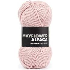 Mayflower Fils Mayflower Alpaca 100m