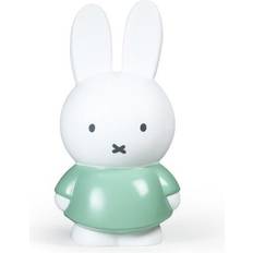 Tirelires Atelier Pierre Miffy Money Box