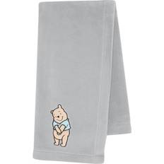 Disney Baby Winnie the Pooh Hugs Fleece Baby Blanket