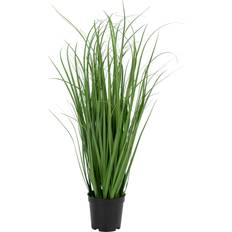 House Nordic Konstväxt Poa Gräs Artificial Plant