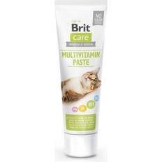 Brit Multivitamin Paste 0.1kg