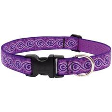 Pet Original Multicolor Jelly Roll Collar