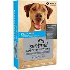 Spectrum Chews 50.1-100lbs 6 Count