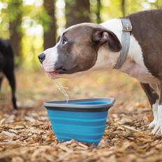 Collapsible dog bowl Kurgo Mash & Stash Collapsible Dog Bowl