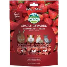 Simple Rewards Strawberry Treats 15g