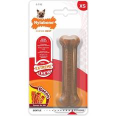 Nylabone Hunde - Hundelegetøj Kæledyr Nylabone Bidering Dura Chew Bacon