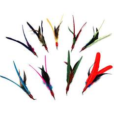 Go Cat Bird Feather Teaser Feathers