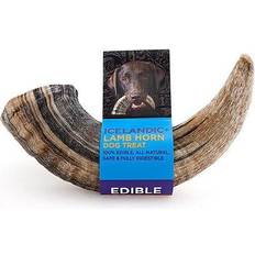 Icelandic+ Large Lamb Horn Dog Treat 4