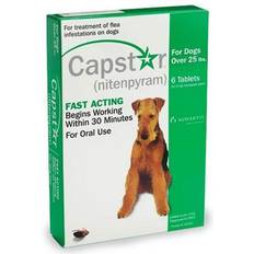 Capstar Green For Dogs 25.1 125 Lbs 6