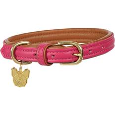 Digby & Fox Padded Leather Dog Collar X Large