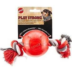 Spot Play Strong Tugs Ball With Rope