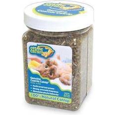 Catnip Jar 2.25