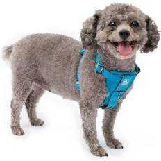 Kurgo PetSafe Tru-Fit Smart Harness