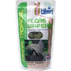 Hikari Husdjur Hikari Algae Wafers 250g