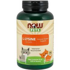 Now Foods L-Lysin til Katte 226g