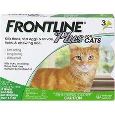 Frontline flea and tick Frontline Plus Cat 3 Pack