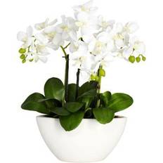 White Artificial Plants Nearly Natural 15" Phalaenopsis with White