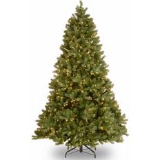 Prelit 6 ft artificial christmas tree National Tree Company 6.5-ft Douglas Fir Pre-lit Traditional Artificial Christmas Tree 78"