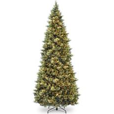 Interior Details National Tree Company 10 ft. Carolina Pine Slim with Clear Lights Christmas Tree