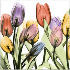 Wall Decorations Empire Art Direct Tulip Scape X-Ray I Glass Wall Multicolor, 24X24 Photo Frame