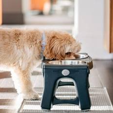 Dexas Pet Feeder