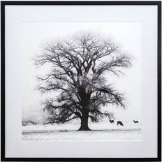 White Wall Decor Yosemite Home Decor Winters Morning Fog IV Black Frame Photography Wall 3220014