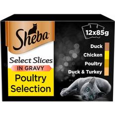Select Slices Cat Food Pouches Poultry Gravy