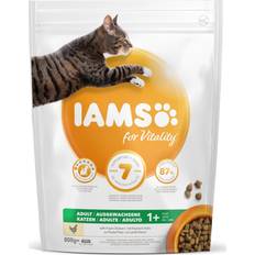IAMS Adult Cat Chicken 800
