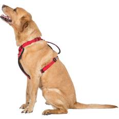 Trespass Trespaws Tanked Dog Car Safety
