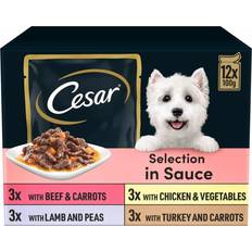Deliciously Fresh Dog Pouches Favourites In Sauce