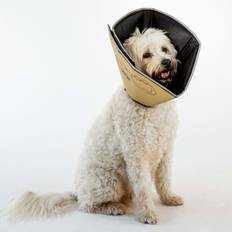 Four Paws Four Paws Pet E-collar Comfy Cone XXL Tan